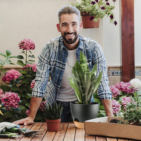 Gift-ready SE SUN-E planters for plant lovers and home décor.