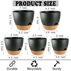 SE SUN-E pot in use indoors supports lush, low-maintenance greenery.