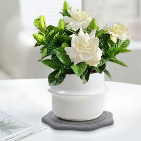 Seaflash multipurpose tray absorbs spills and doubles as a dish tray