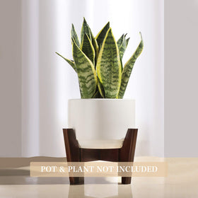 Seanmi adjustable bamboo plant stand fits 8-12 inch pots with easy width tuning