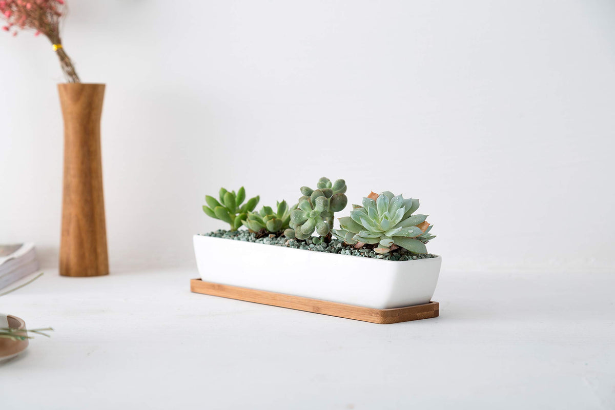 SeaStar bamboo saucer included keeps surfaces dry and protected.