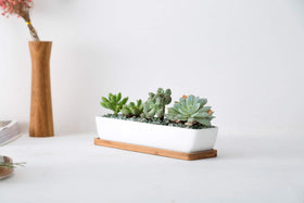 SeaStar bamboo saucer included keeps surfaces dry and protected.
