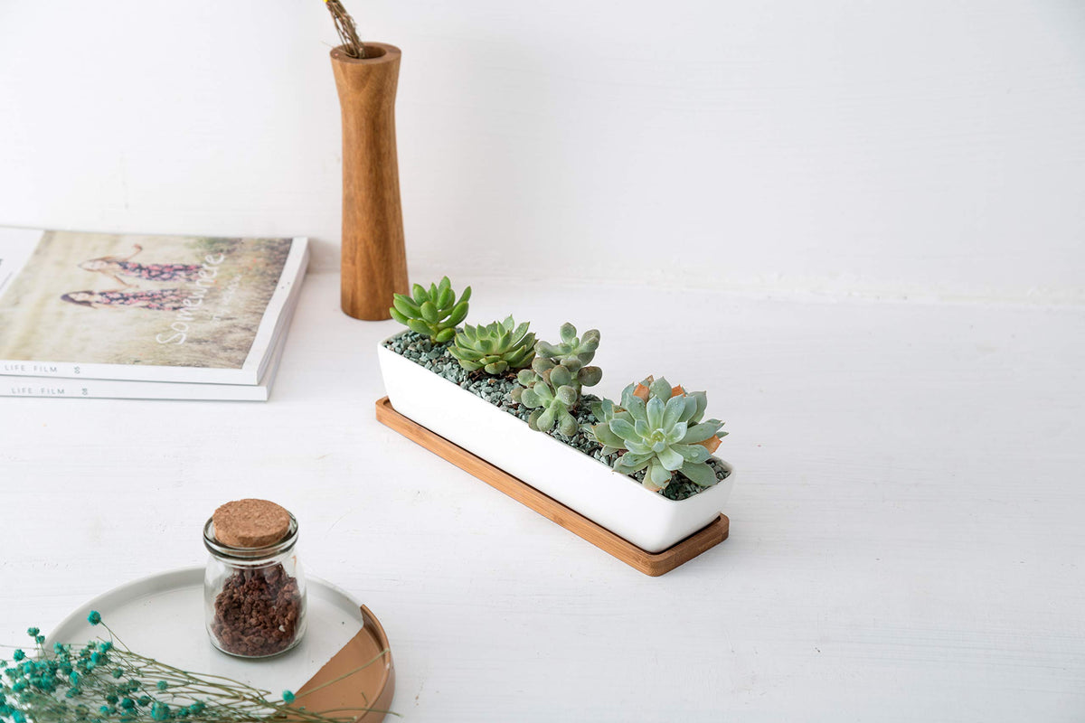 SeaStar white ceramic finish with smooth edges adds modern touch.