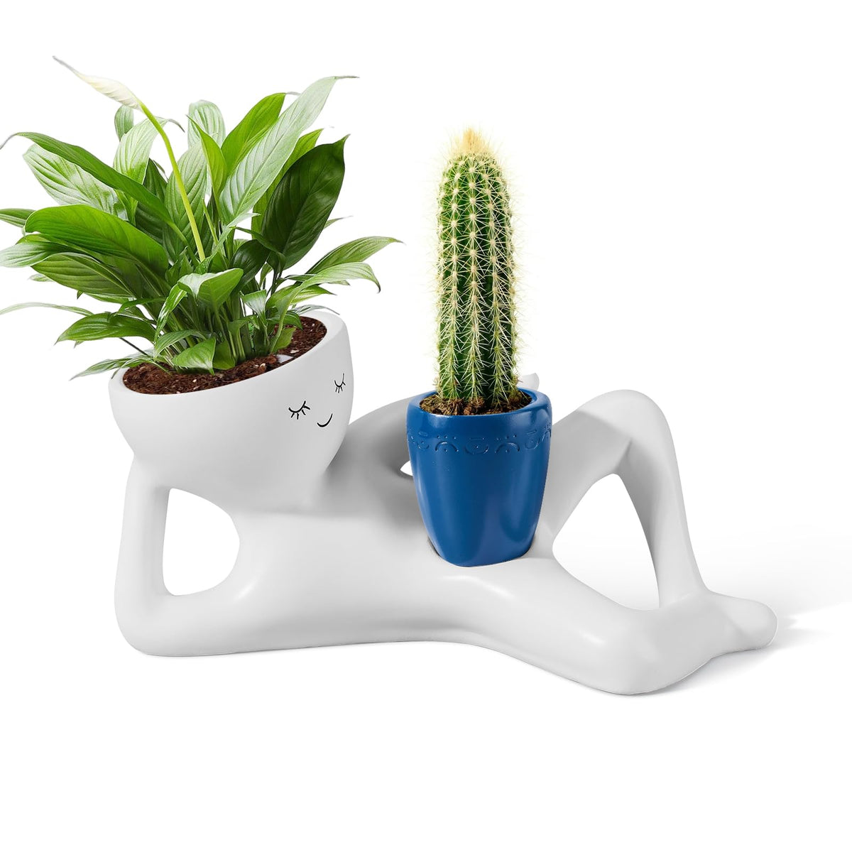 Sederikun Face Planter Head smiling blue enhances indoor decor and adds charm