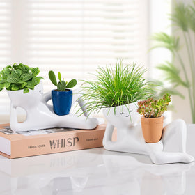 Sederikun succulent garden pots with funny design adds charm to any room.