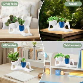 Sederikun succulent pot for indoor use on a blue windowsill