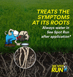 See Spot Run pet-safe lawn care product designed for homes with pets and kids.
