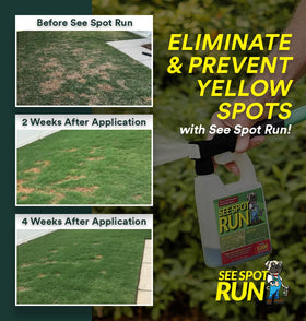 See Spot Run ready-to-mix lawn treatment enables simple outdoor application.