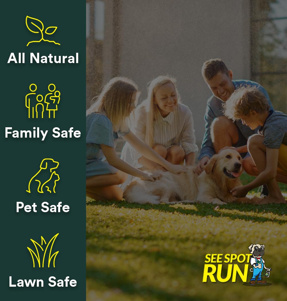 See Spot Run urine spot lawn treatment applied to a lawn area showing discoloration.