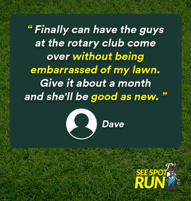 See Spot Run wide-area lawn treatment covering up to 10,000 sq ft.