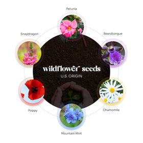 Seed Bloom pink purple butterfly seed paper for memorials and compassionate gestures