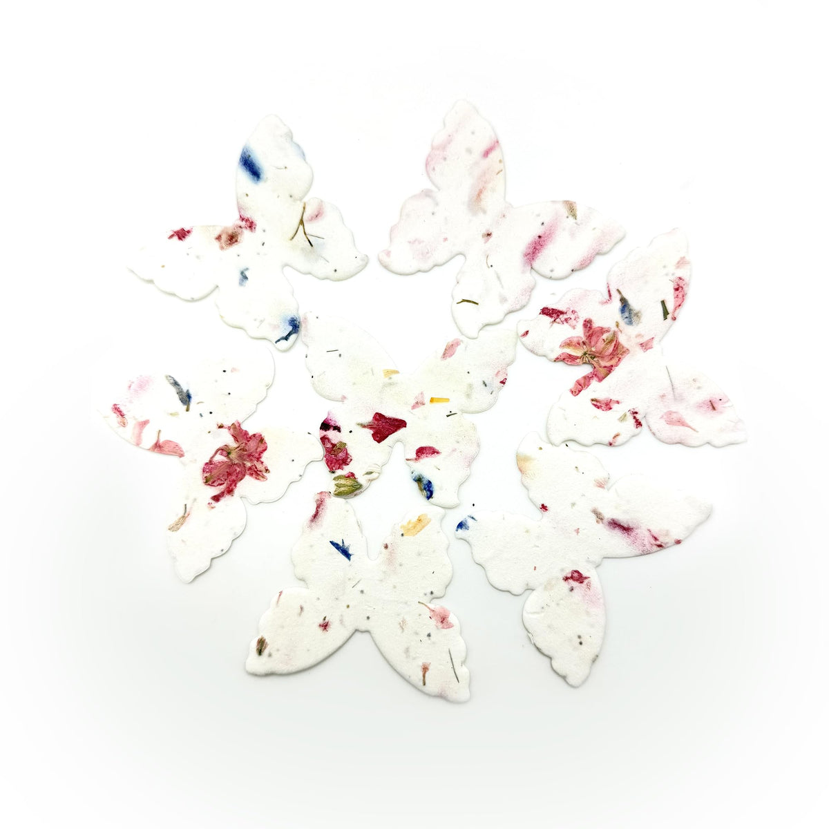 Seed Bloom butterfly seed paper packaging highlighting plantable gift concept.