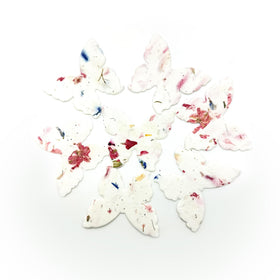 Seed Bloom butterfly seed paper packaging highlighting plantable gift concept.