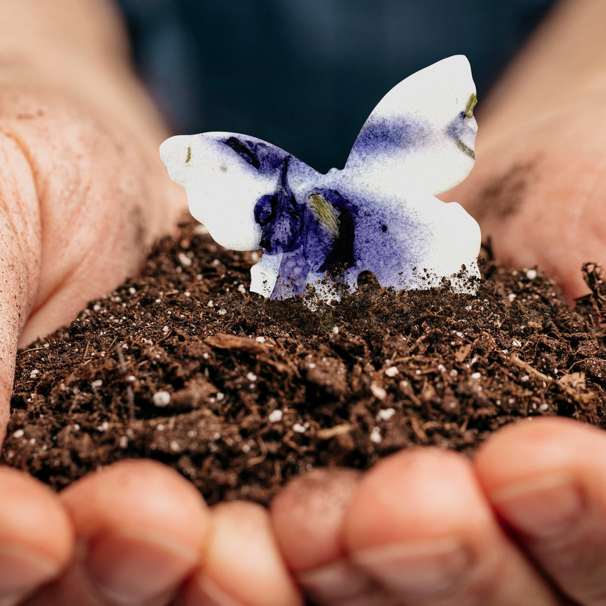 Seed Bloom plantable seed paper designed for easy growing at home.