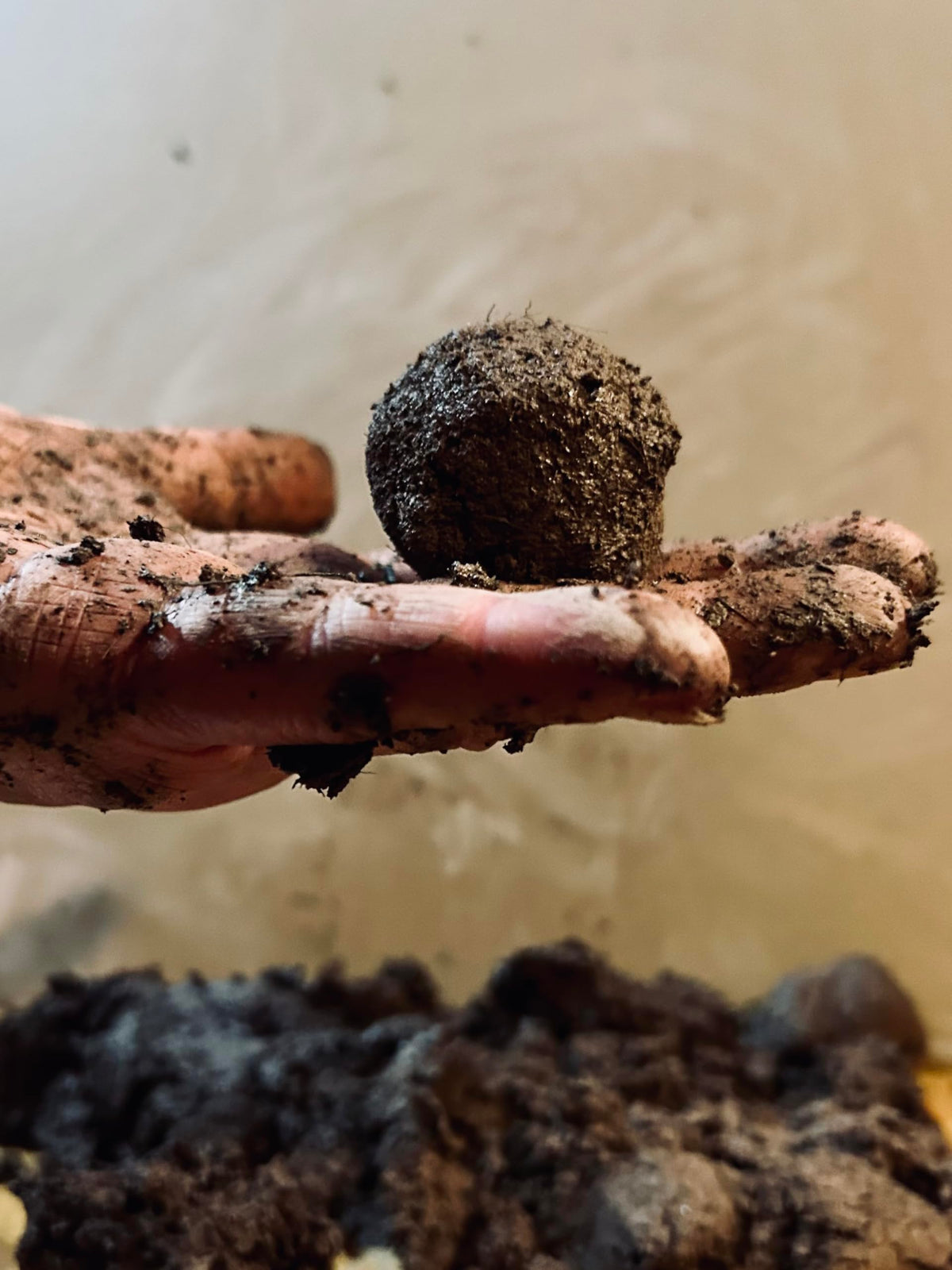 Seed bombs crafted with Generic Natural Red Clay Powder for planting