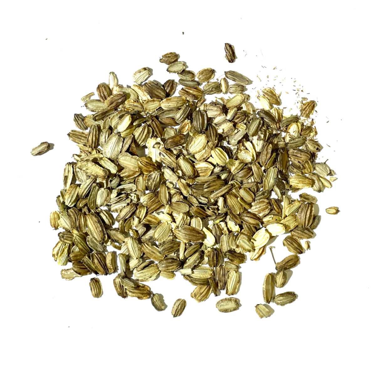 Seed Needs Angelica seed germination in warm soil.