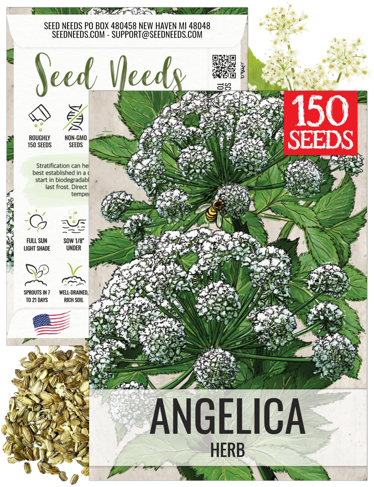 Seed Needs Angelica seeds pack for home gardening and culinary use.