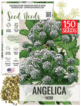 Seed Needs Angelica seeds pack for home gardening and culinary use.