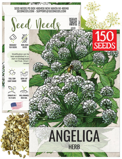 Seed Needs Angelica seeds pack for home gardening and culinary use.