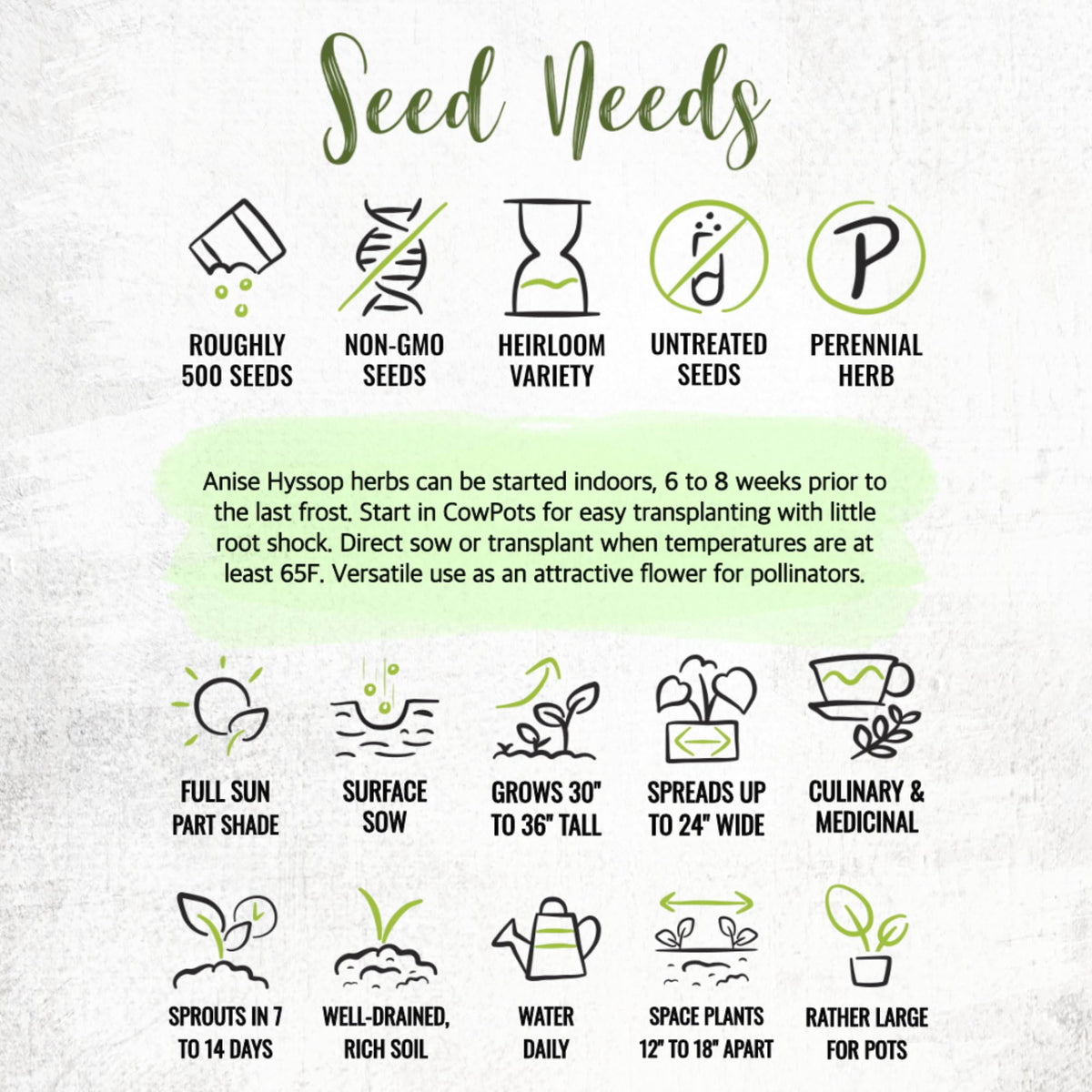 Seed Needs Anise Hyssop harvested leaves can season dishes or infuse oils.