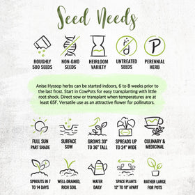 Seed Needs Anise Hyssop harvested leaves can season dishes or infuse oils.