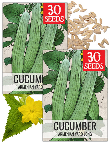 Seed Needs Armenian Yard Long Cucumber seeds packaging front for planning