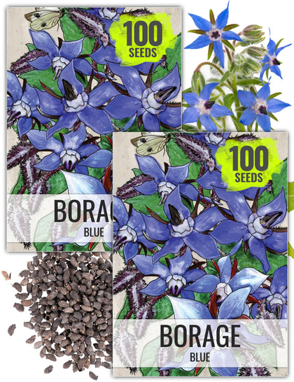 Seed Needs borage blue-star blooms brighten salads and desserts with edible flowers.