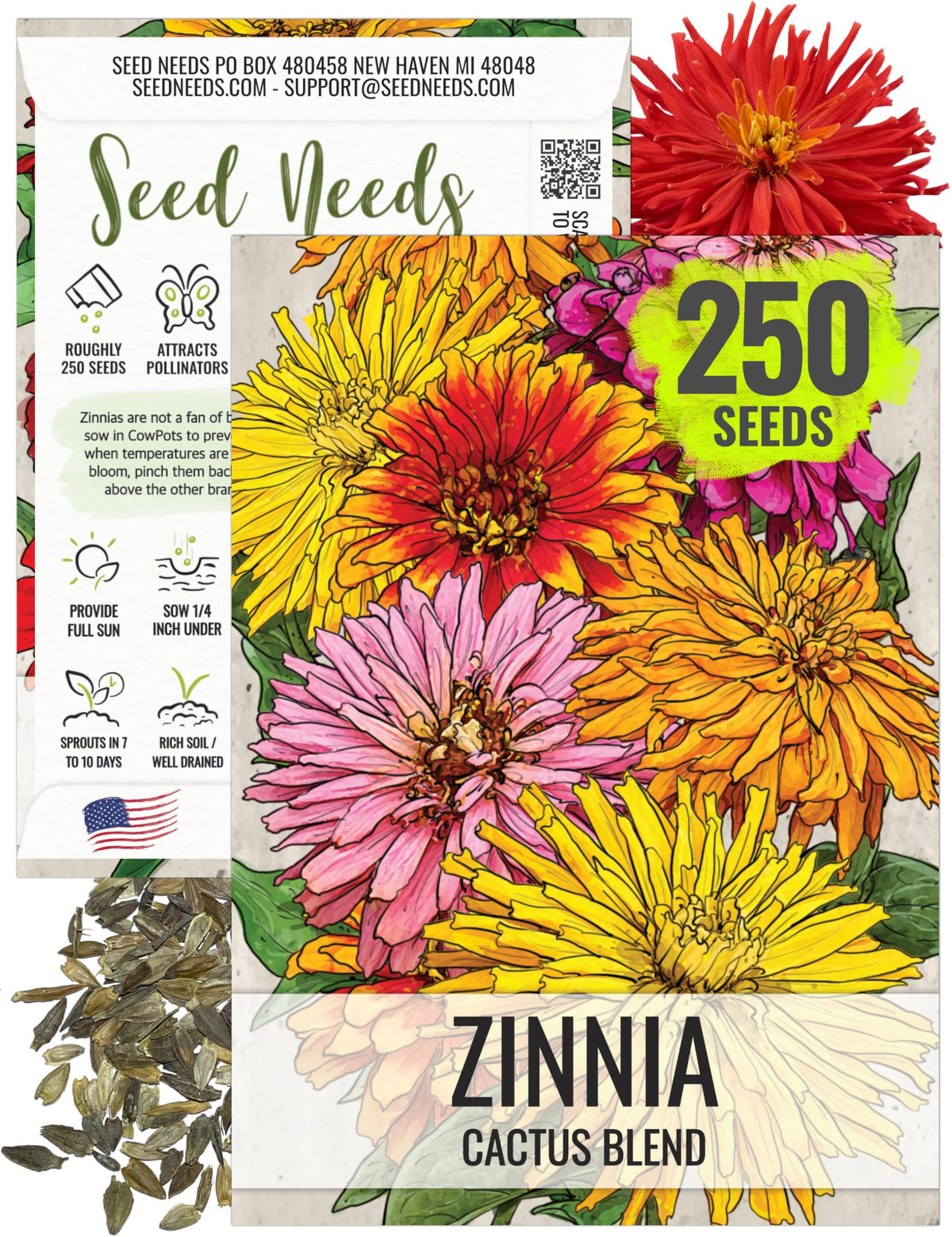 Seed Needs cactus zinnia seeds mixed colors for vibrant borders and bouquets.