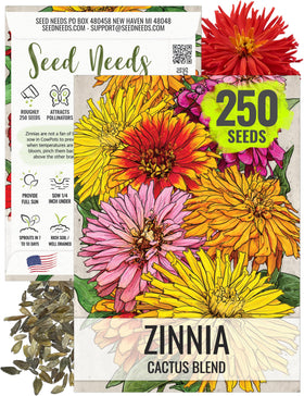 Seed Needs cactus zinnia seeds mixed colors for vibrant borders and bouquets.
