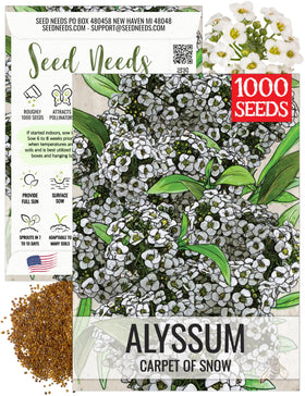 Seed Needs Carpet of Snow Alyssum bloom clusters brighten borders