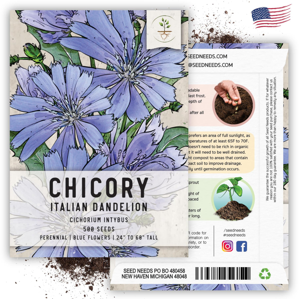 Seed Needs Chicory seeds arrive fresh direct from growers