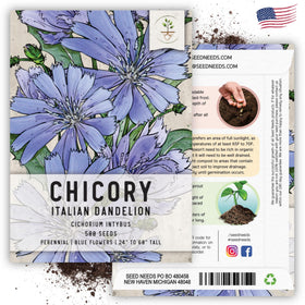 Seed Needs Chicory seeds arrive fresh direct from growers