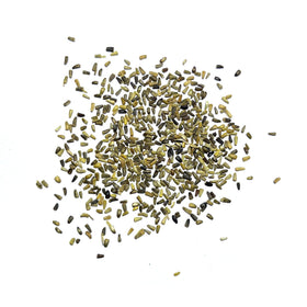 Seed Needs Chicory seeds attract bees and butterflies for pollinator gardens