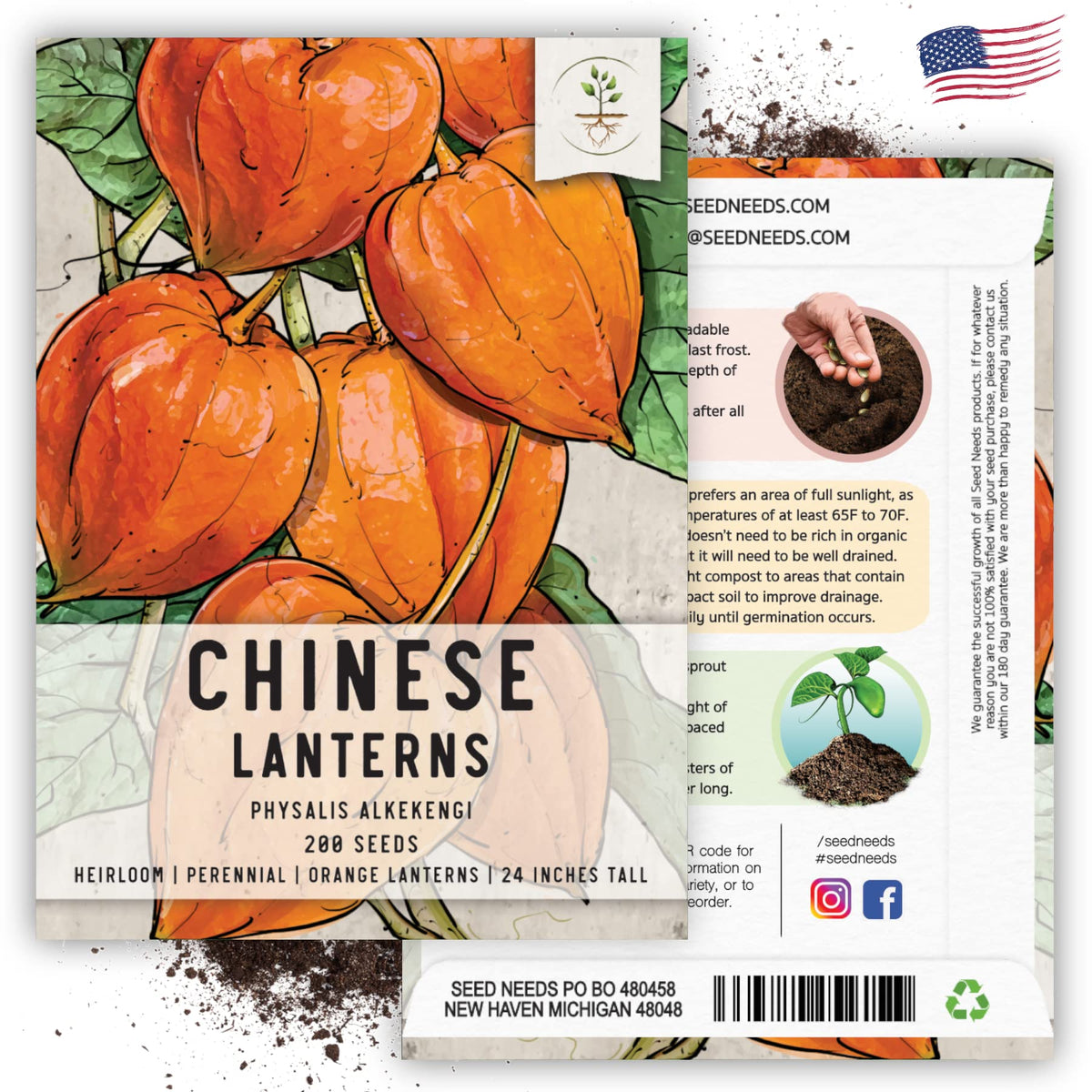 Seed Needs Chinese Lantern seeds arranged for border or container planting.
