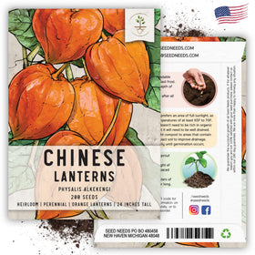 Seed Needs Chinese Lantern seeds arranged for border or container planting.