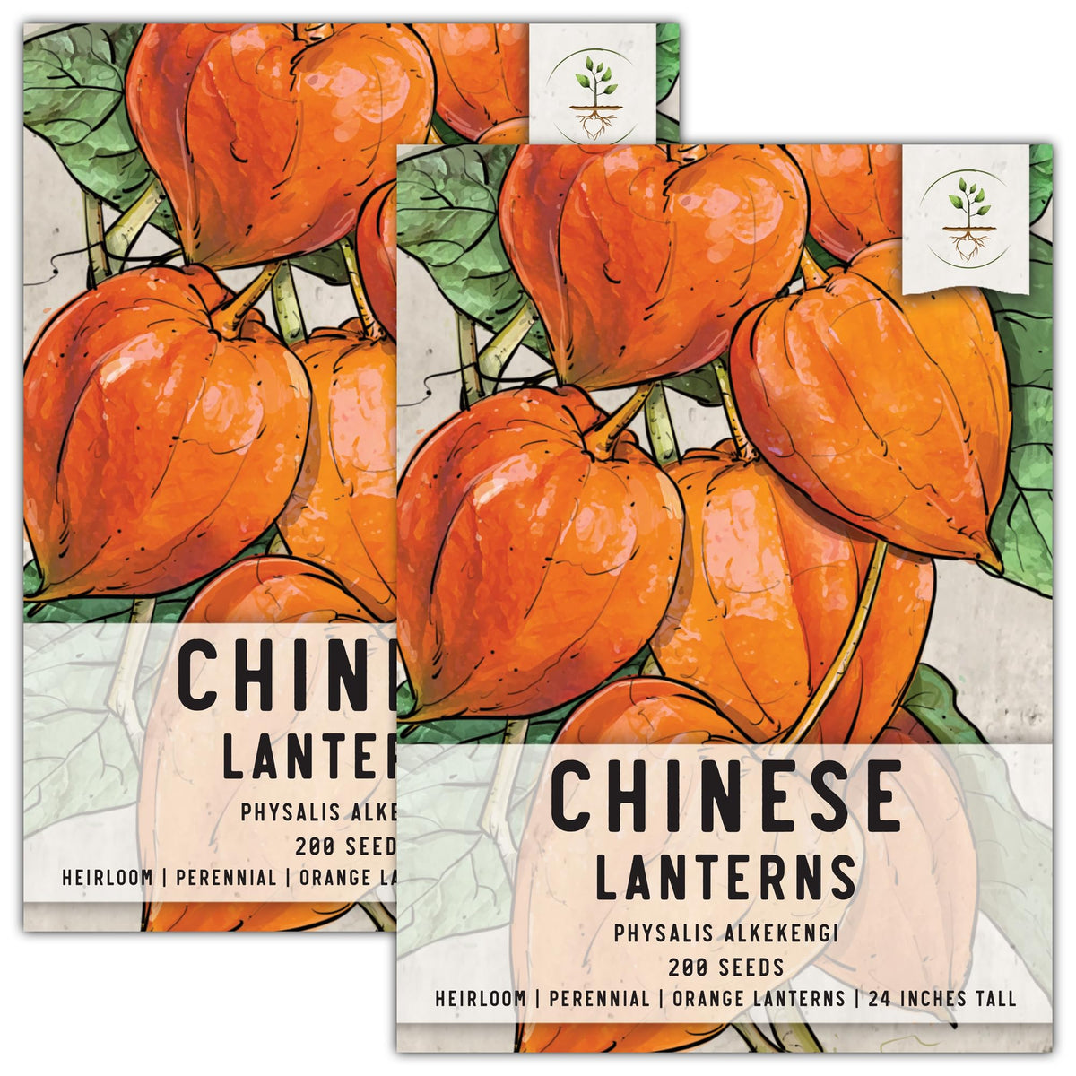 Seed Needs Chinese Lantern seeds packet front with sowing guide for planning.