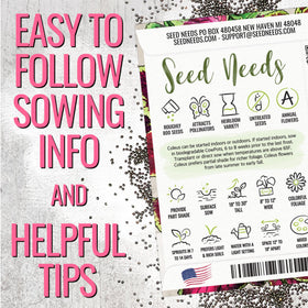 Seed Needs coleus seeds surface-sowing steps for quick garden color
