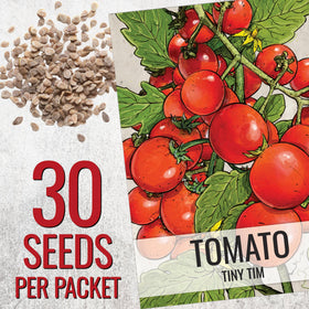 Seed Needs container garden with Tiny Tim tomatoes on a balcony.