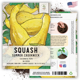 Seed Needs Crookneck squash seeds fresh from growers promise reliable germination.