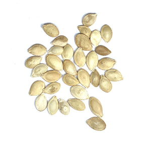 Seed Needs Crookneck squash seeds moisture-resistant packaging preserves freshness.