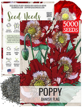 Seed Needs Danish Flag Poppy bloom closeup; vivid red petals with white cross brighten borders