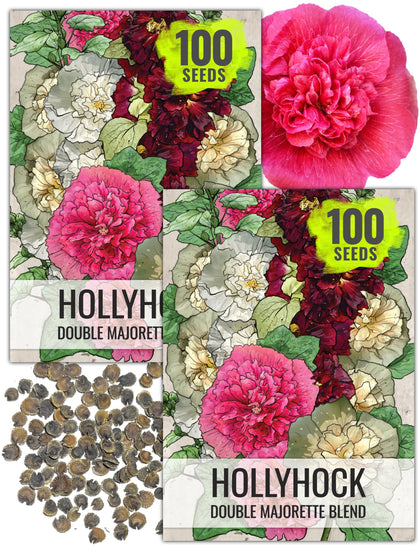 Seed Needs Double Majorette hollyhock seeds packet front illustration for vibrant border color