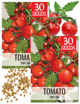 Seed Needs Dwarf Cherry Tomato Seeds packet illustration for home gardens.