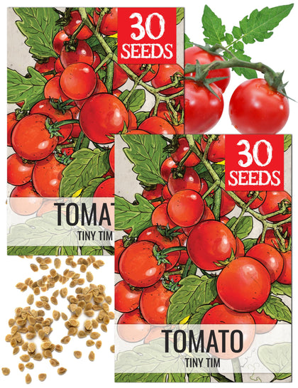 Seed Needs Dwarf Cherry Tomato Seeds packet illustration for home gardens.