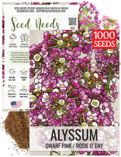 Seed Needs Dwarf Pink Alyssum close-up blooms inviting pollinators.