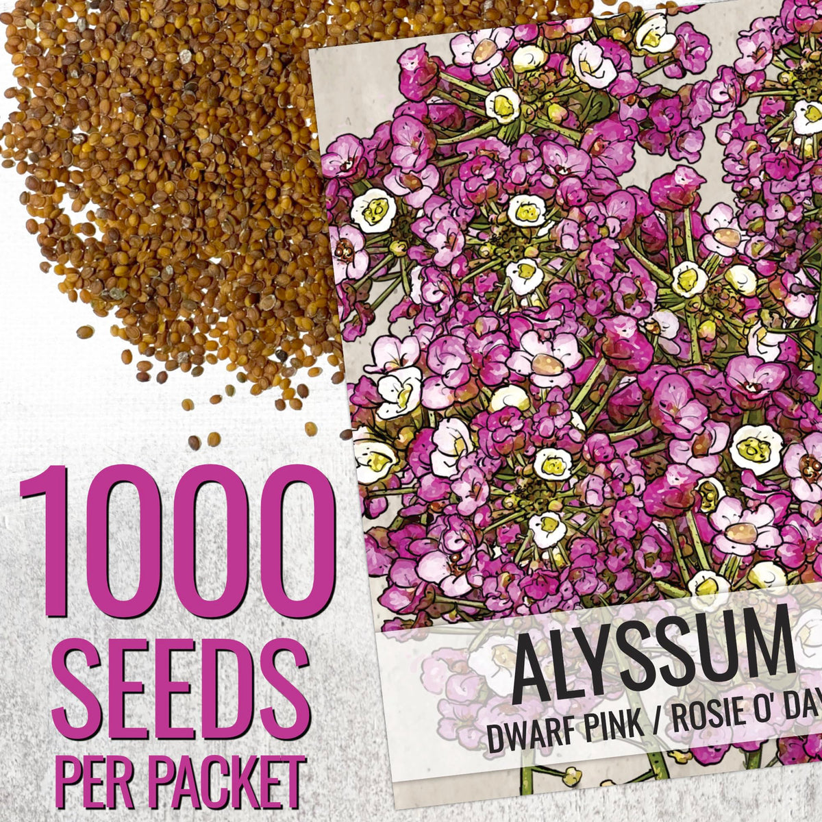 Seed Needs Dwarf Pink Alyssum in pots forming a colorful carpet.