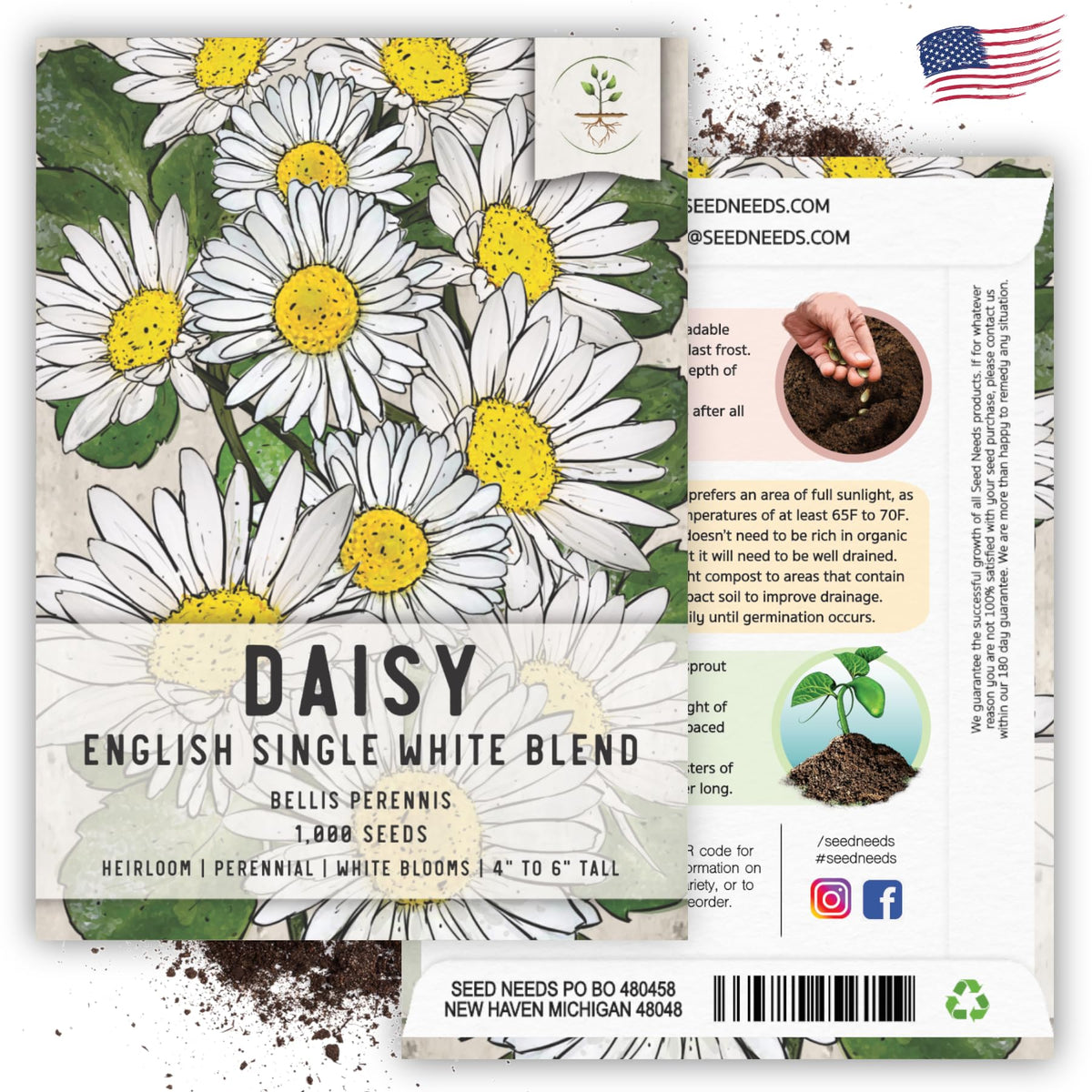 Seed Needs English Daisy seeds germination time and growth potential