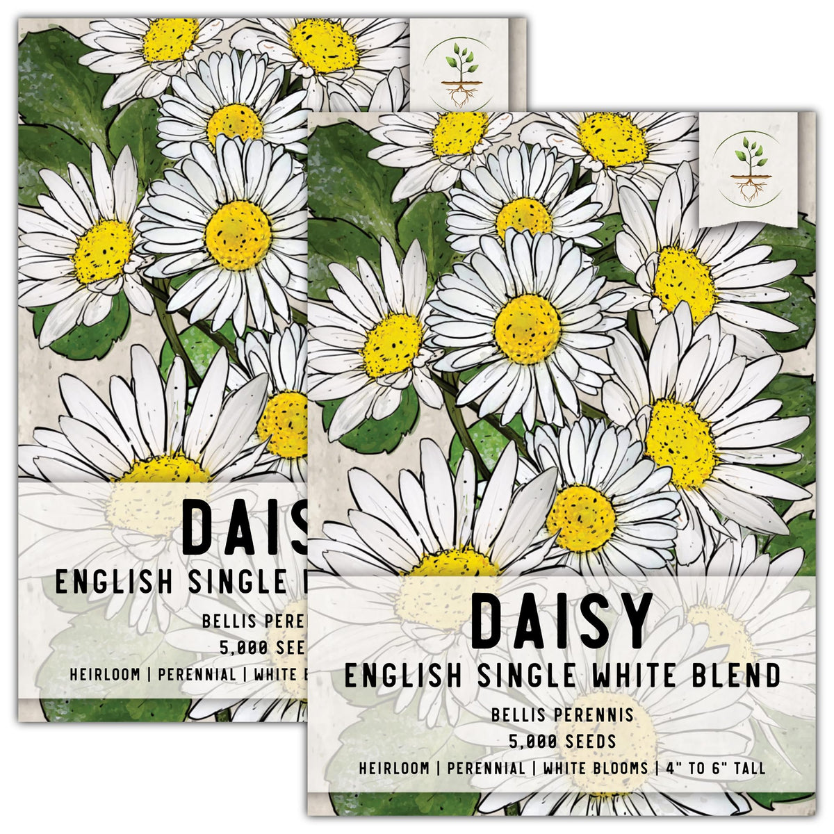 Seed Needs English Daisy seeds packaging with sowing instructions