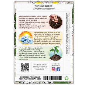 Seed Needs English Daisy seeds packet detail for planting guide