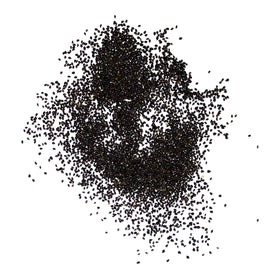 Seed Needs Forget Me Not are biennial and offer a second-season bloom for lasting color